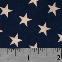 Navy with Tea Stained Stars