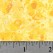 Yellow Lava